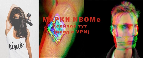 прущие грибы Зеленокумск