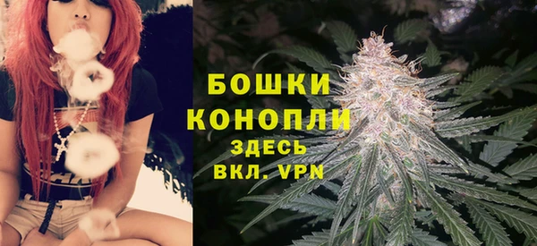 прущие грибы Зеленокумск