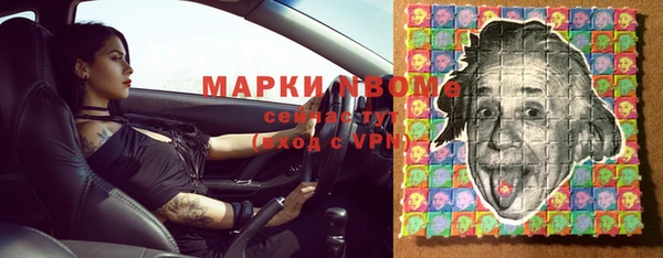 прущие грибы Зеленокумск