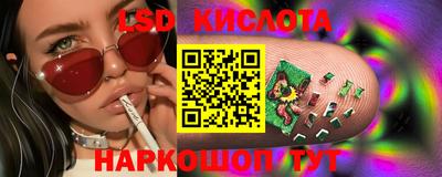 прущие грибы Кингисепп