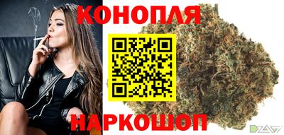 прущие грибы Кингисепп
