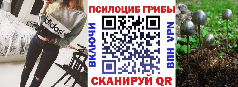 купить наркоту  Кинель  Галлюциногенные грибы мухоморы 
