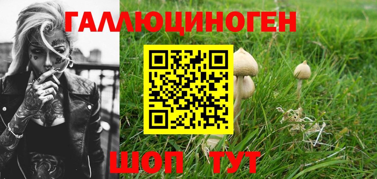 Псилоцибиновые грибы Psilocybine cubensis  Галлюциногенные грибы мухоморы  Вход с VPN  Кинель 